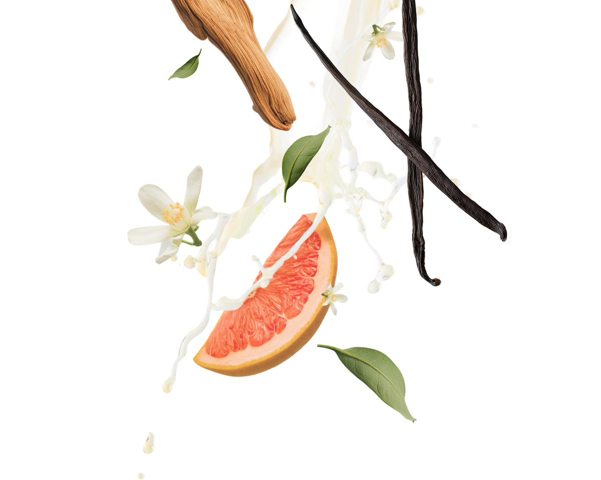 Notes olfactives de Printemps Blanc : pamplemousse, fleur d oranger, jasmin sambac, the blanc, vanille et bois de santal